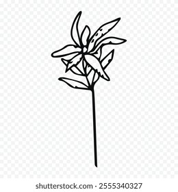 Hand drawn spring flowers illustration. floral illustration