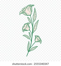 Hand drawn spring flowers illustration. floral illustration