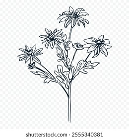 Hand drawn spring flowers illustration. floral illustration