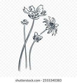 Hand drawn spring flowers illustration. floral illustration