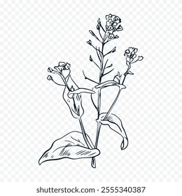 Hand drawn spring flowers illustration. floral illustration