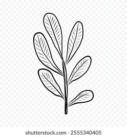 Hand drawn spring flowers illustration. floral illustration