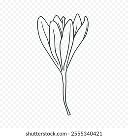 Hand drawn spring flowers illustration. floral illustration