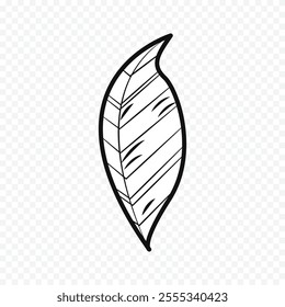 Hand drawn spring flowers illustration. floral illustration