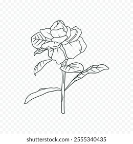 Hand drawn spring flowers illustration. floral illustration