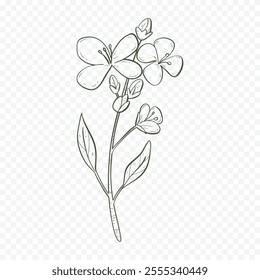 Hand drawn spring flowers illustration. floral illustration