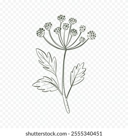 Hand drawn spring flowers illustration. floral illustration