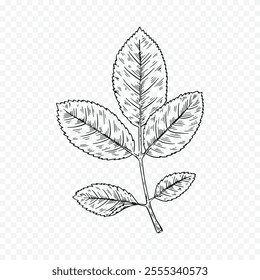 Hand drawn spring flowers illustration. floral illustration