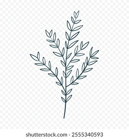 Hand drawn spring flowers illustration. floral illustration