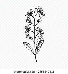 Hand drawn spring flowers illustration. floral illustration