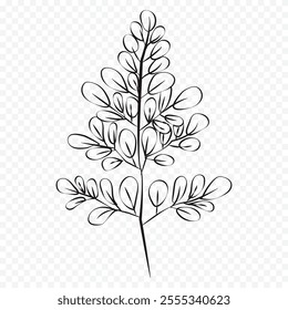 Hand drawn spring flowers illustration. floral illustration