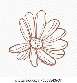Hand drawn spring flowers illustration. floral illustration