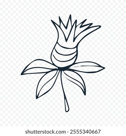 Hand drawn spring flowers illustration. floral illustration