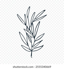 Hand drawn spring flowers illustration. floral illustration
