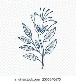 Hand drawn spring flowers illustration. floral illustration