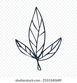 Hand drawn spring flowers illustration. floral illustration