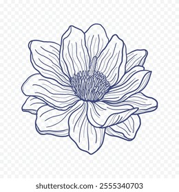 Hand drawn spring flowers illustration. floral illustration