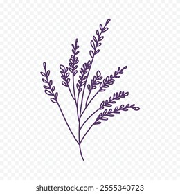 Hand drawn spring flowers illustration. floral illustration