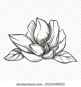 Hand drawn spring flowers illustration. floral illustration
