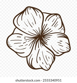 Hand drawn spring flowers illustration. floral illustration