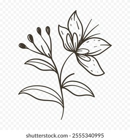 Hand drawn spring flowers illustration. floral illustration