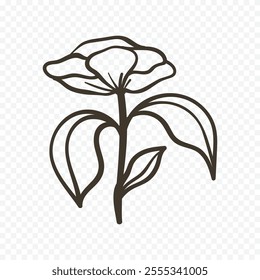 Hand drawn spring flowers illustration. floral illustration