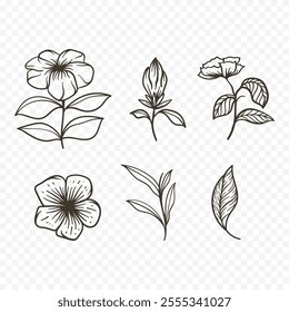 Hand drawn spring flowers illustration. floral illustration