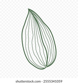 Hand drawn spring flowers illustration. floral illustration