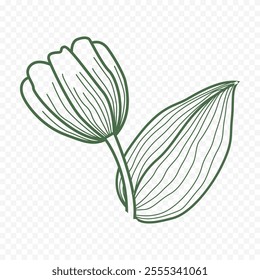 Hand drawn spring flowers illustration. floral illustration