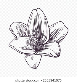 Hand drawn spring flowers illustration. floral illustration