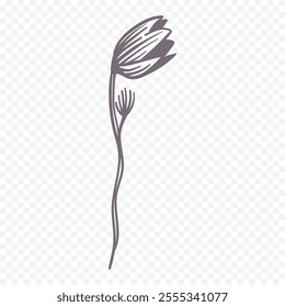 Hand drawn spring flowers illustration. floral illustration