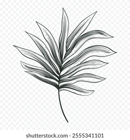 Hand drawn spring flowers illustration. floral illustration