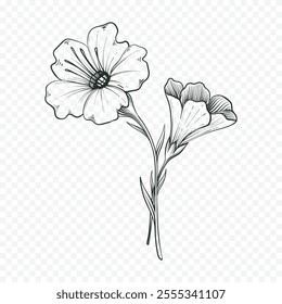 Hand drawn spring flowers illustration. floral illustration