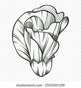 Hand drawn spring flowers illustration. floral illustration