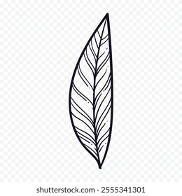 Hand drawn spring flowers illustration. floral illustration