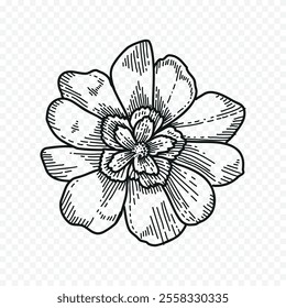 Hand drawn spring flowers illustration. floral illustration