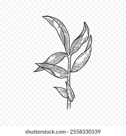Hand drawn spring flowers illustration. floral illustration