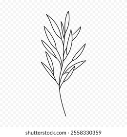 Hand drawn spring flowers illustration. floral illustration
