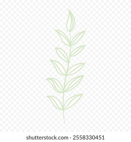 Hand drawn spring flowers illustration. floral illustration