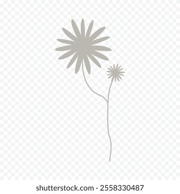 Hand drawn spring flowers illustration. floral illustration