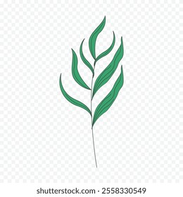 Hand drawn spring flowers illustration. floral illustration