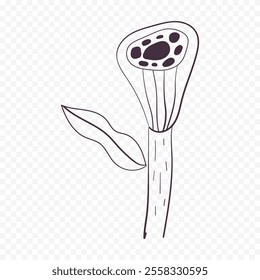 Hand drawn spring flowers illustration. floral illustration