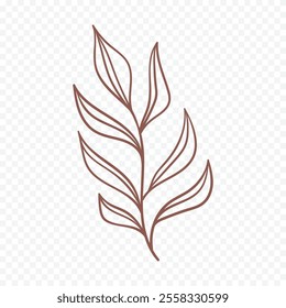 Hand drawn spring flowers illustration. floral illustration