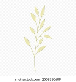 Hand drawn spring flowers illustration. floral illustration