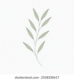 Hand drawn spring flowers illustration. floral illustration