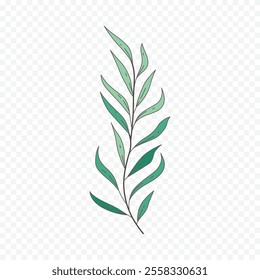 Hand drawn spring flowers illustration. floral illustration