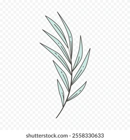 Hand drawn spring flowers illustration. floral illustration