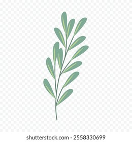 Hand drawn spring flowers illustration. floral illustration