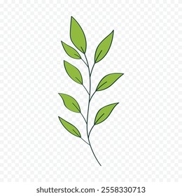 Hand drawn spring flowers illustration. floral illustration