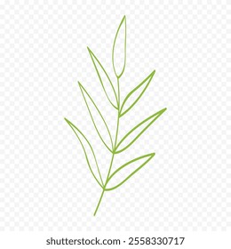 Hand drawn spring flowers illustration. floral illustration